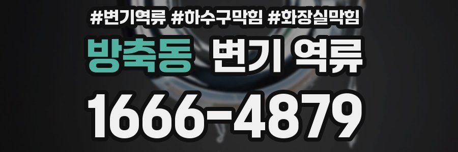 방축동 변기 역류