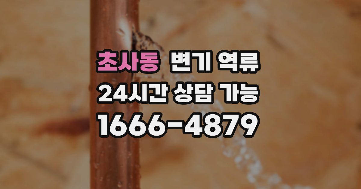 초사동 변기 역류