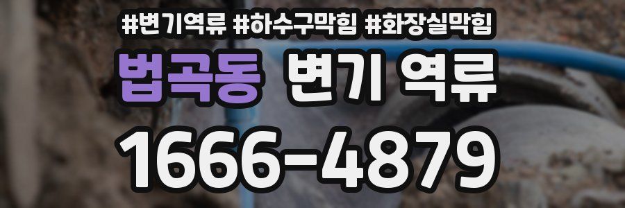 법곡동 변기 역류