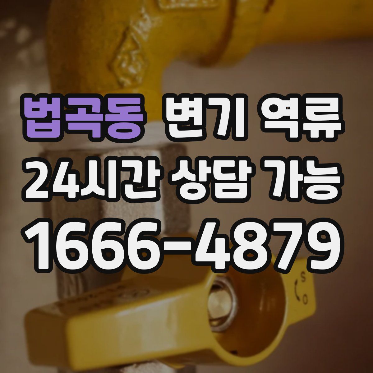 법곡동 변기 역류