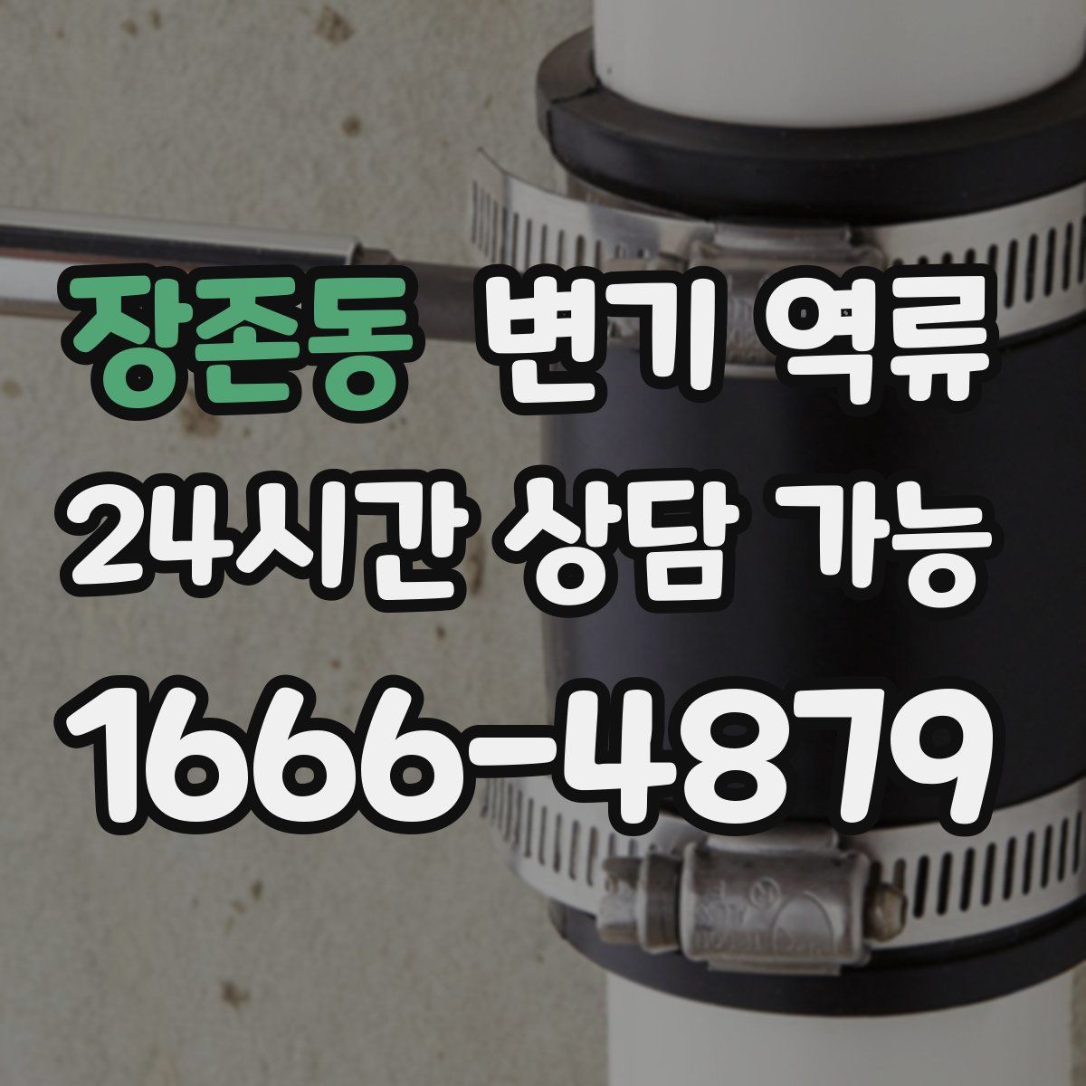 장존동 변기 역류