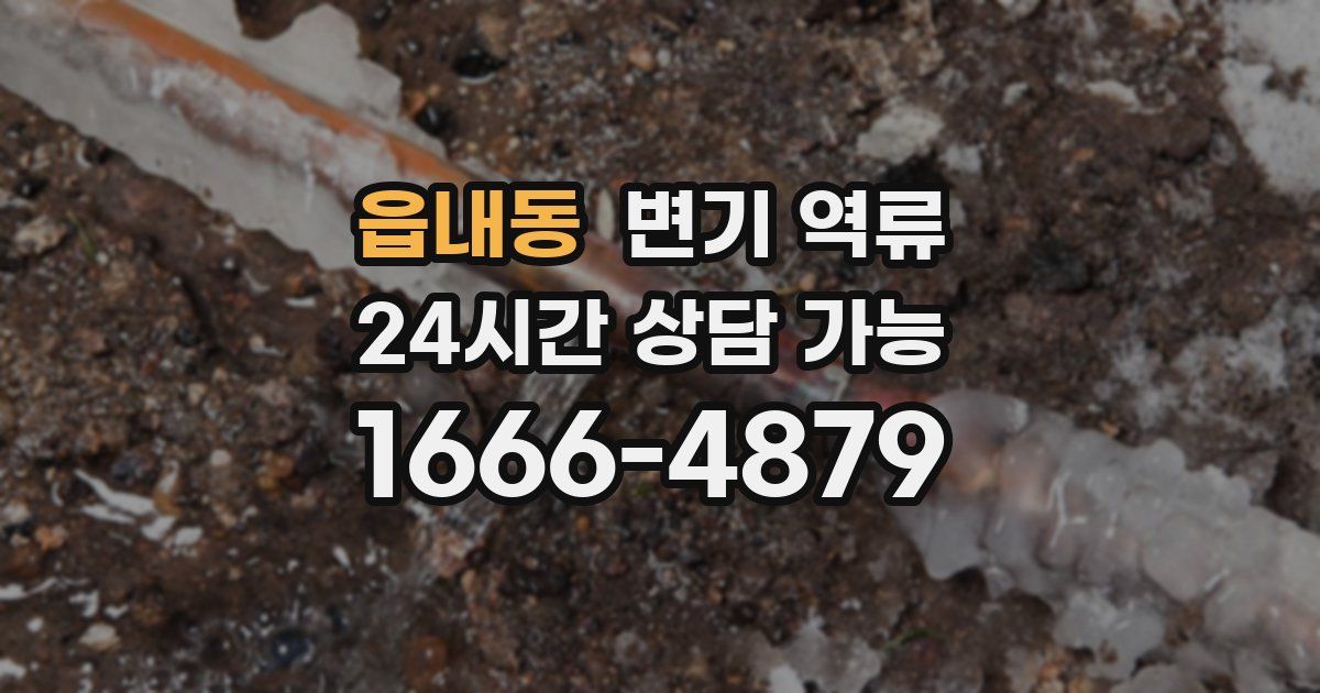 읍내동 변기 역류