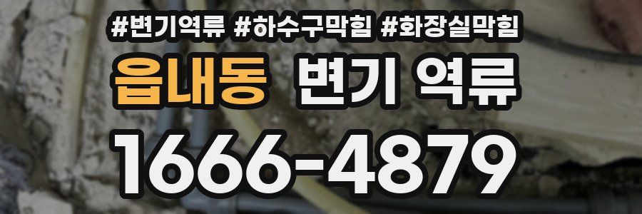 읍내동 변기 역류