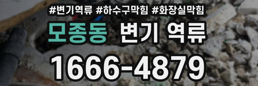 모종동 변기 역류