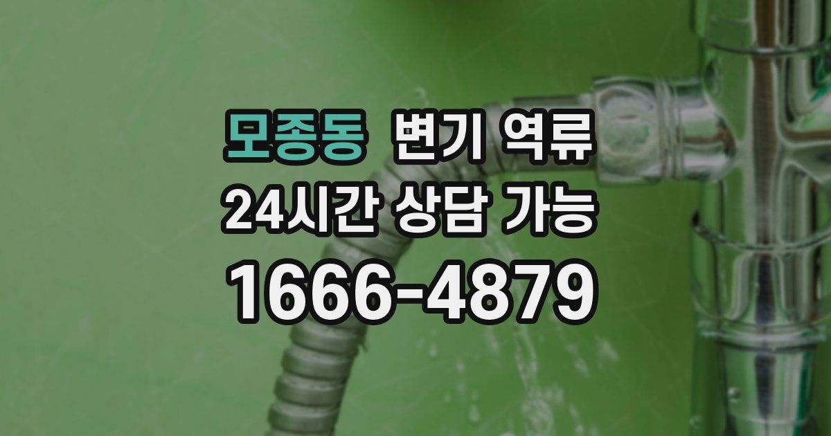 모종동 변기 역류