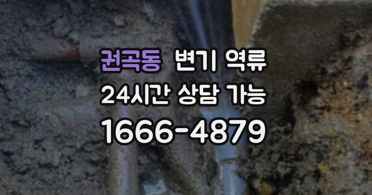 권곡동 변기 역류