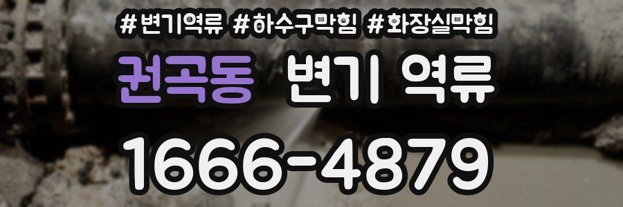 권곡동 변기 역류