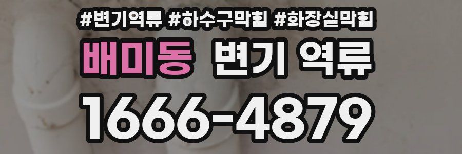 배미동 변기 역류