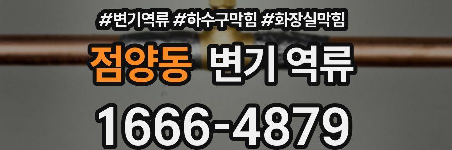 점양동 변기 역류