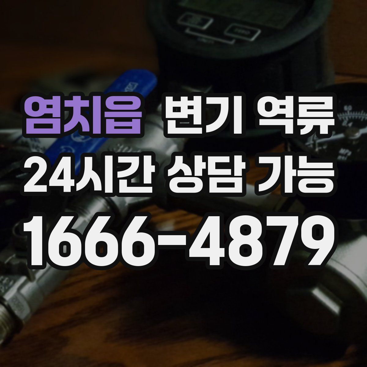 염치읍 변기 역류