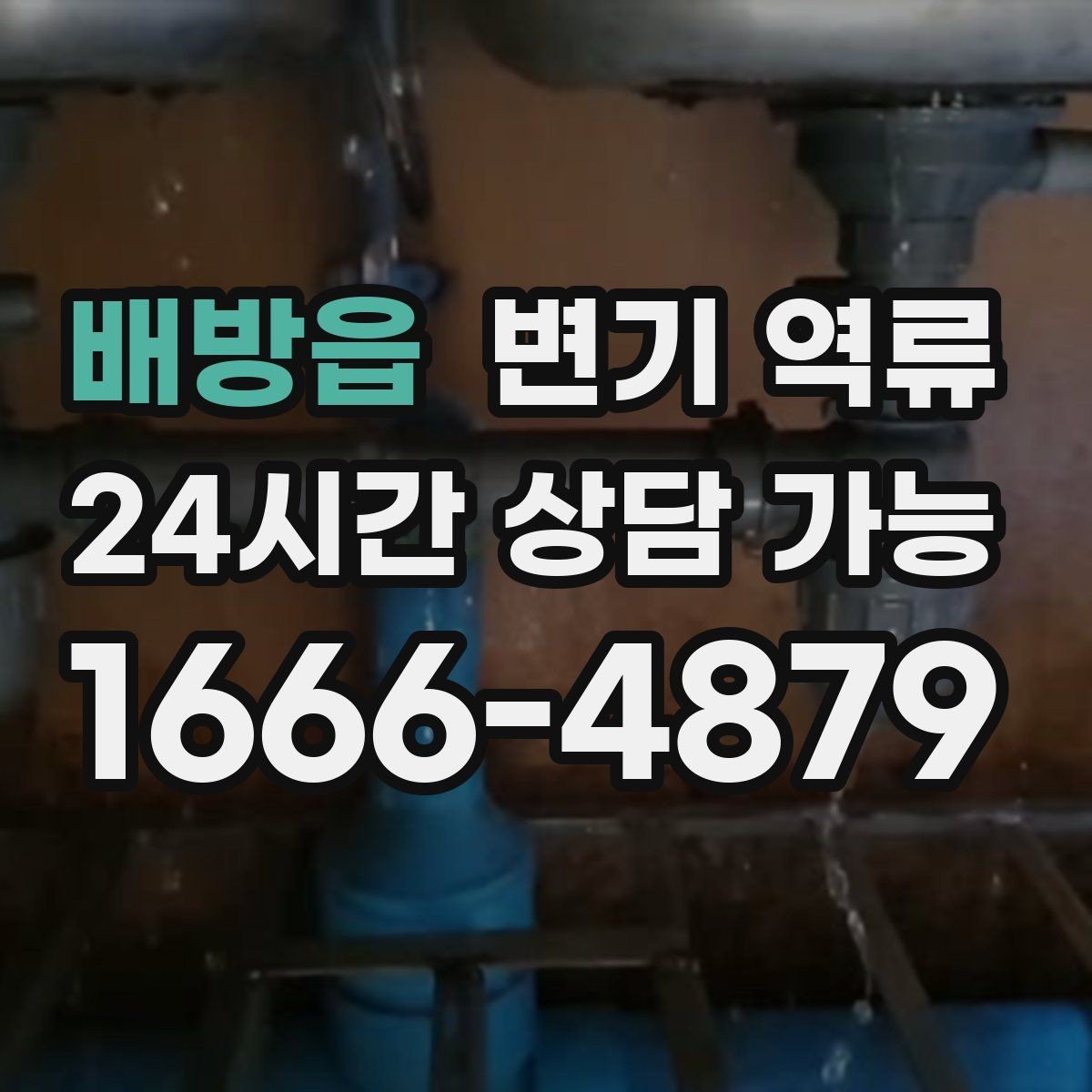 배방읍 변기 역류 음식물·기름이 원인일 때 나타나는 특징