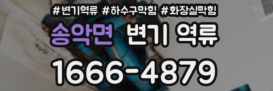 송악면 변기 역류