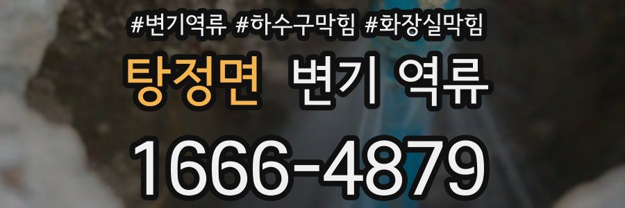 탕정면 변기 역류