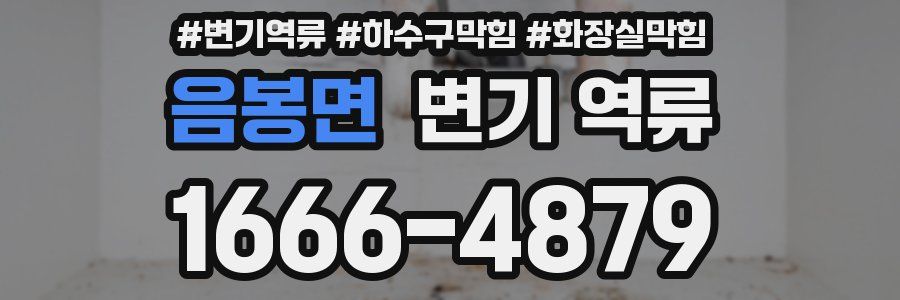 음봉면 변기 역류