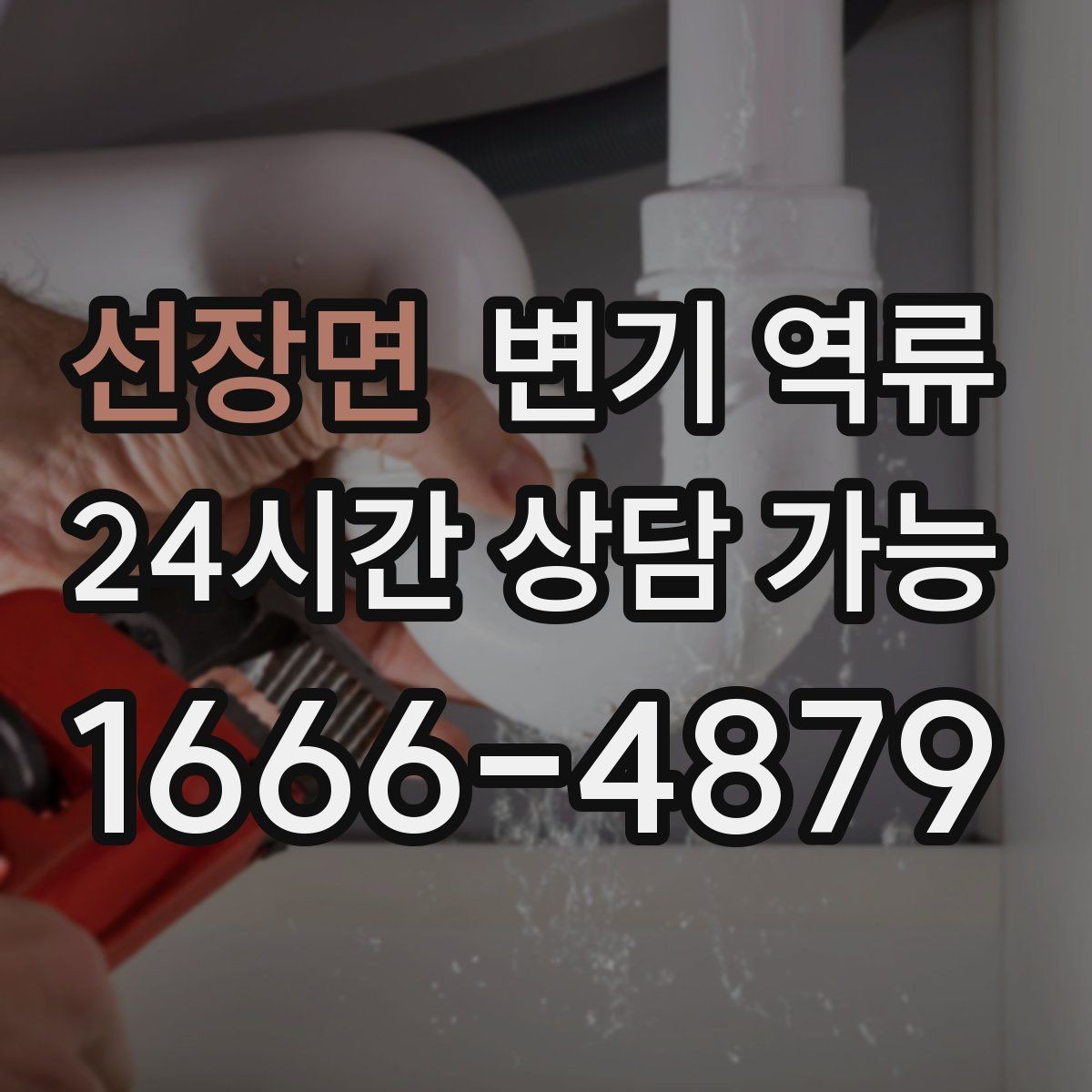 선장면 변기 역류 반려동물 모래가 들어갔을 때 대처