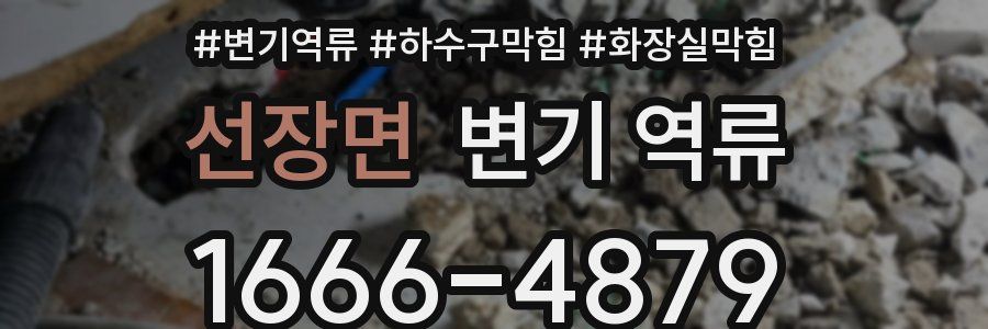 선장면 변기 역류