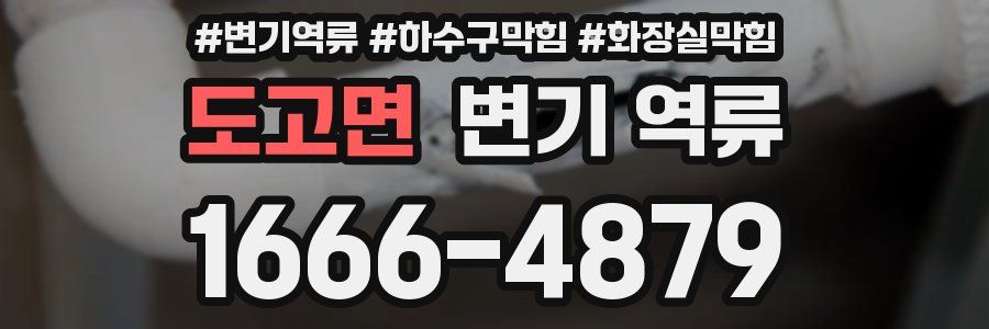 도고면 변기 역류