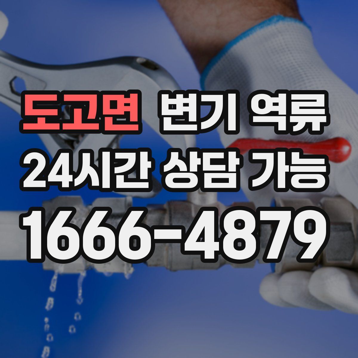 도고면 변기 역류