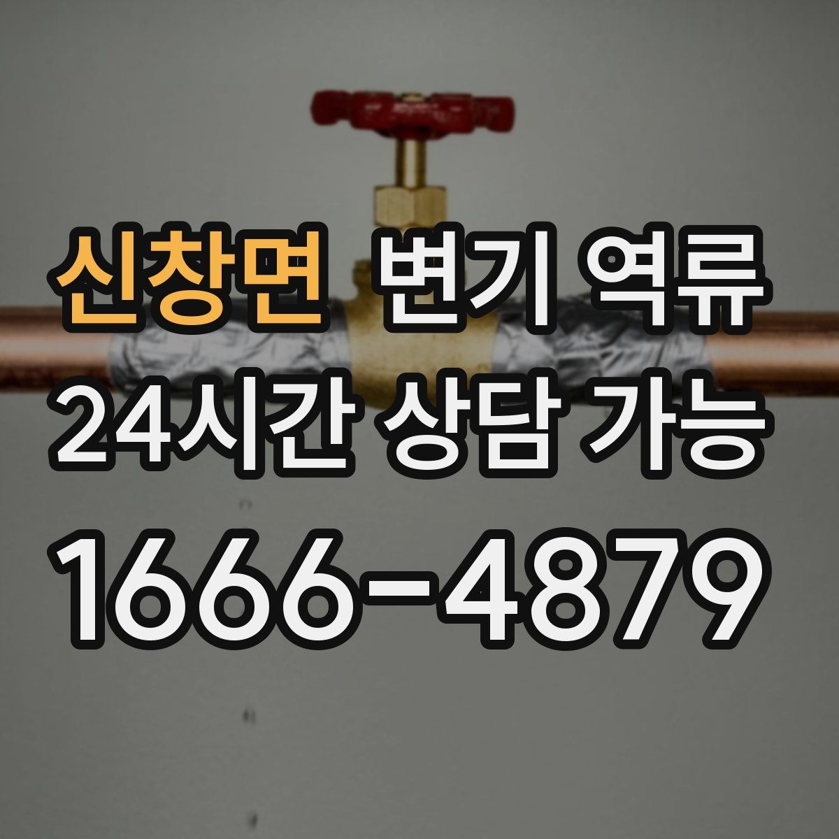 신창면 변기 역류