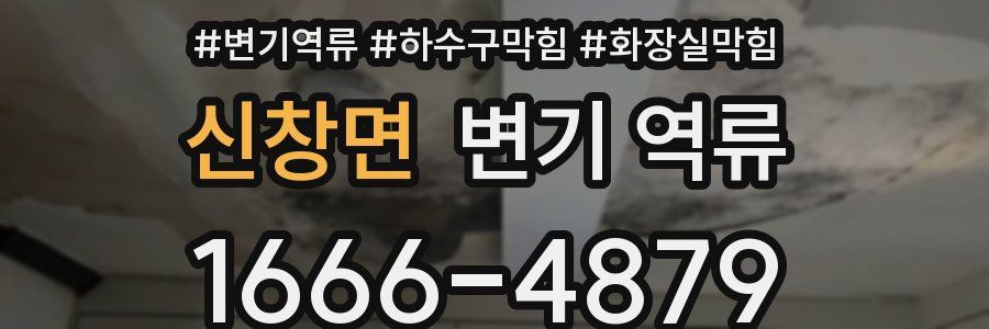 신창면 변기 역류