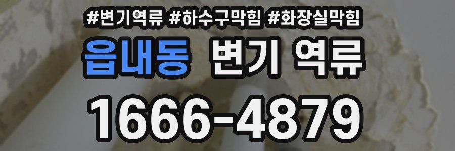 읍내동 변기 역류