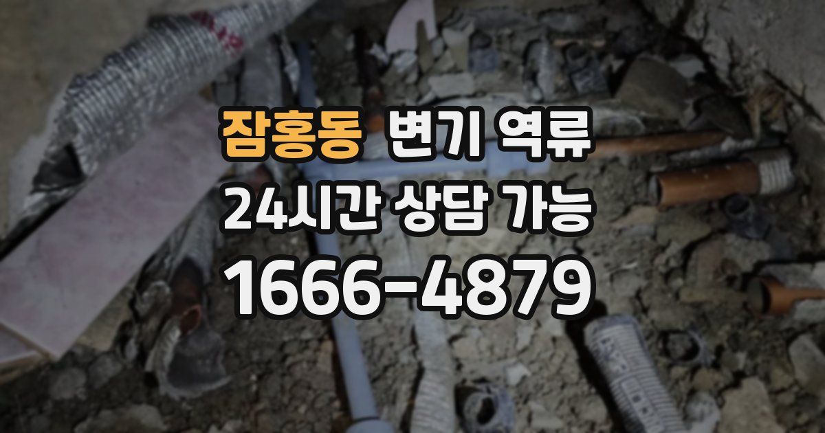 잠홍동 변기 역류