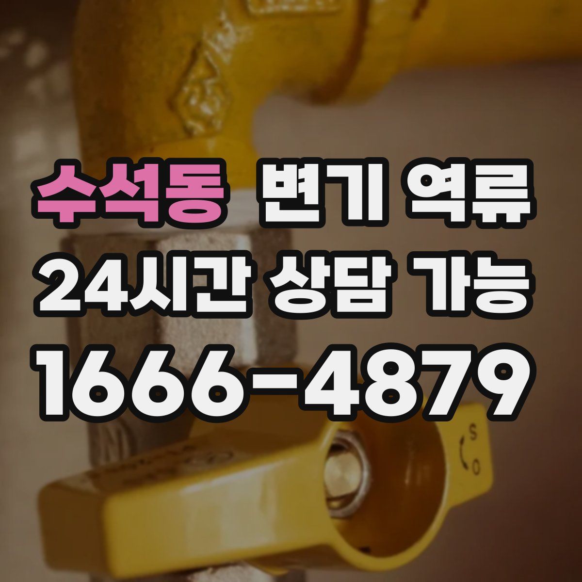 수석동 변기 역류