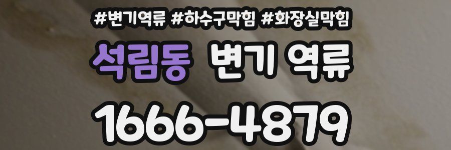 석림동 변기 역류