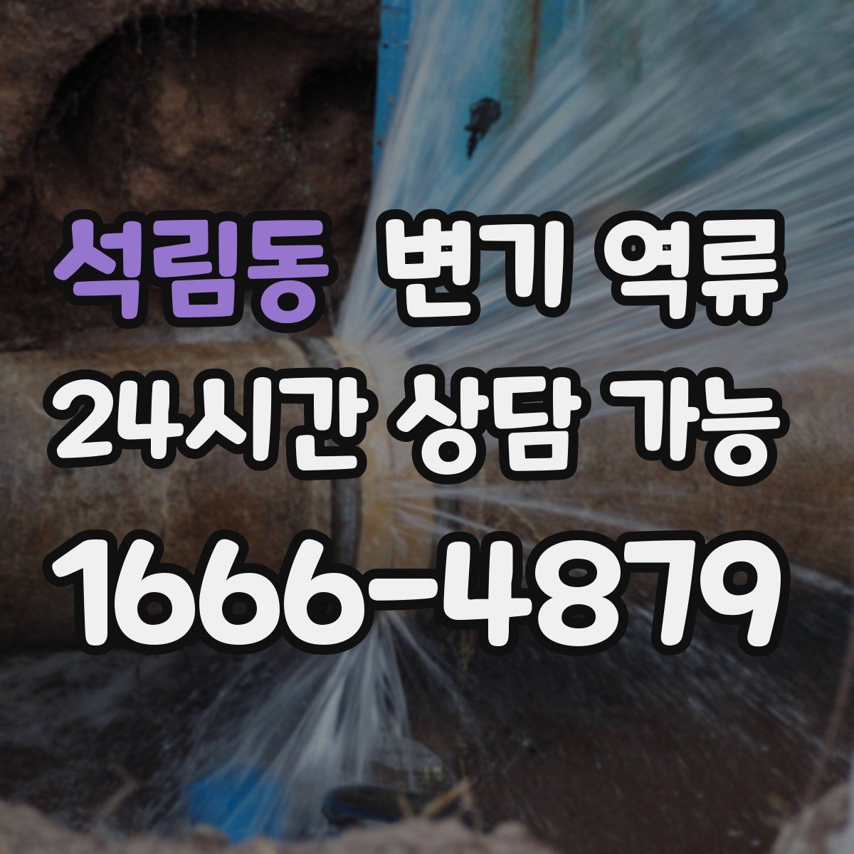 석림동 변기 역류