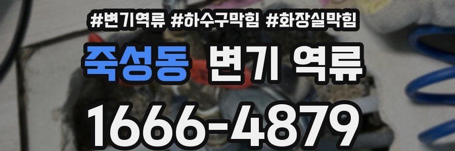 죽성동 변기 역류