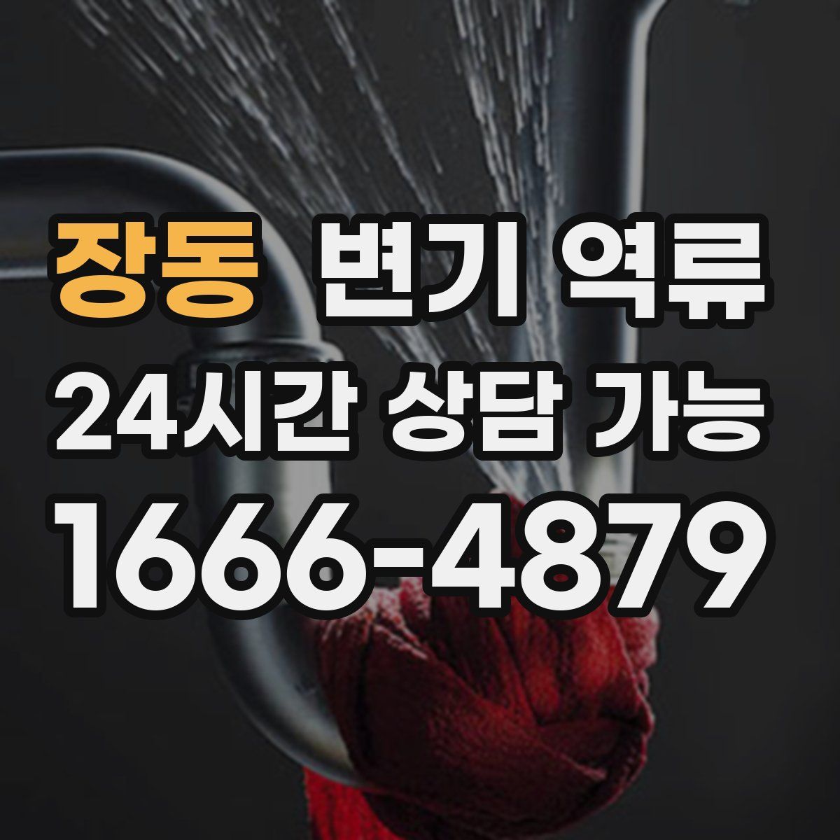 장동 변기 역류