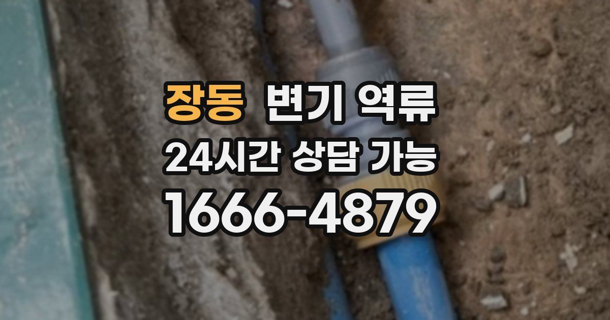 장동 변기 역류