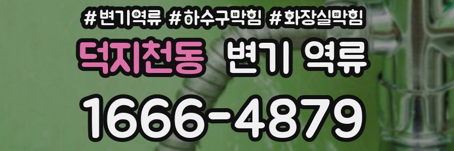 덕지천동 변기 역류