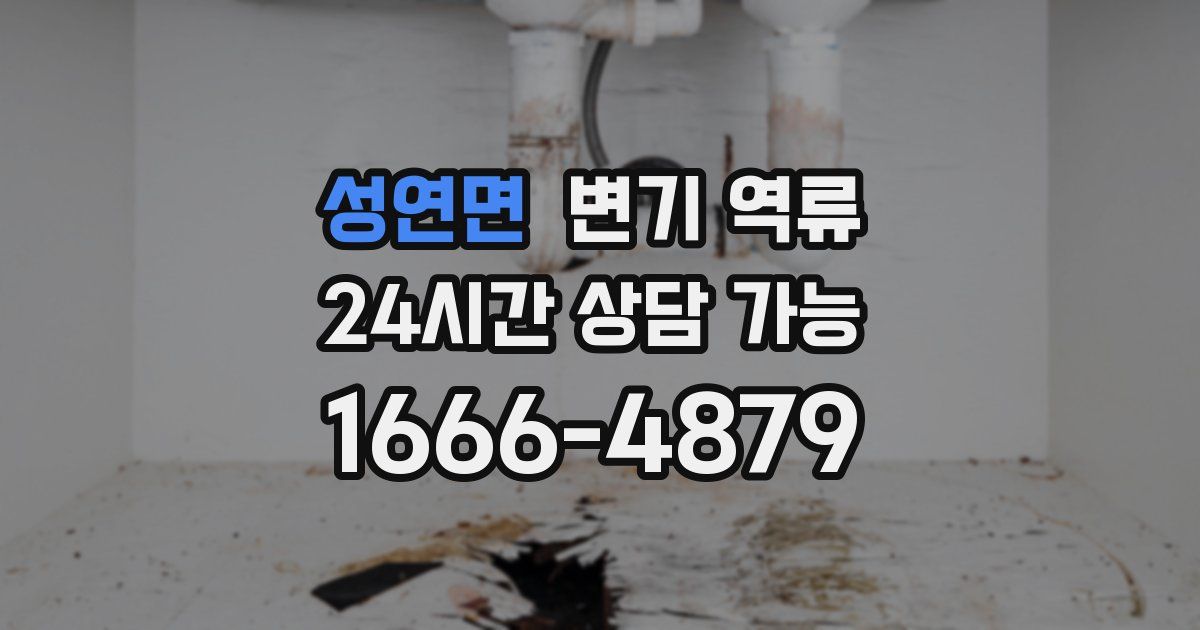 성연면 변기 역류