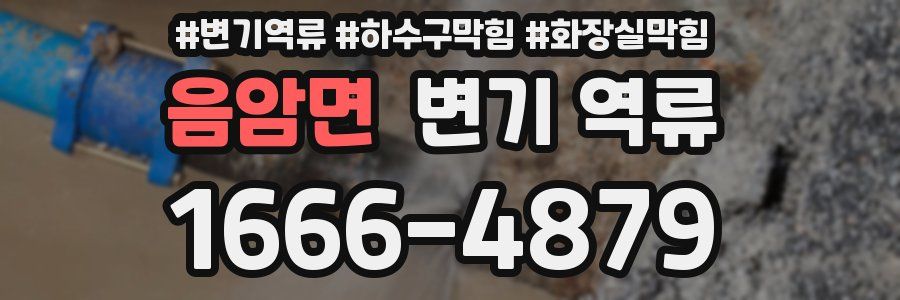 음암면 변기 역류