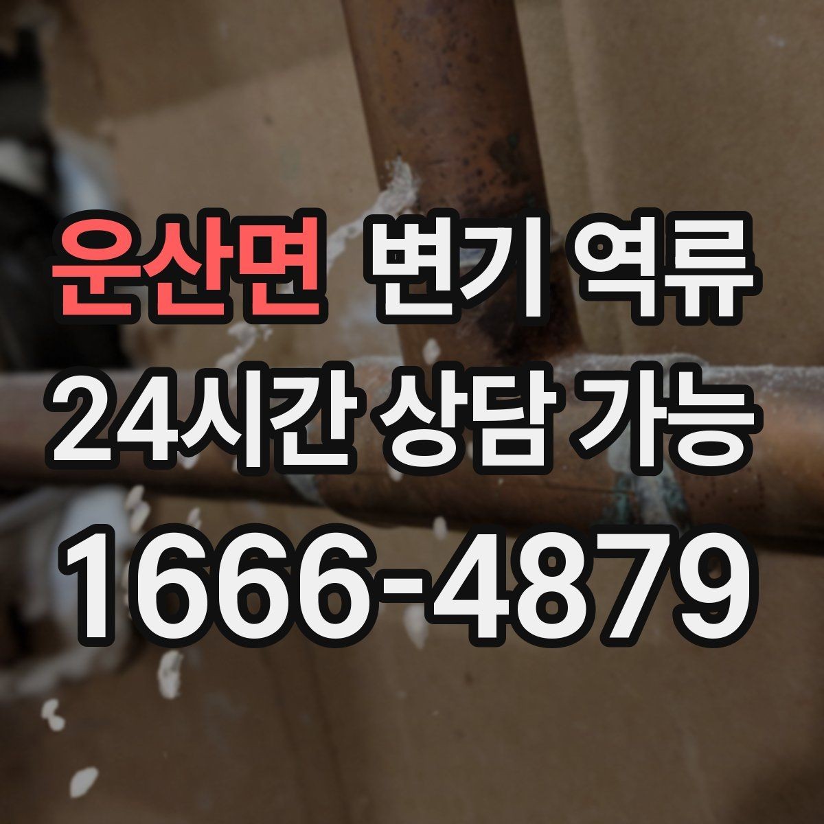 운산면 변기 역류 오염수 처리 시 꼭 필요한 보호 장비