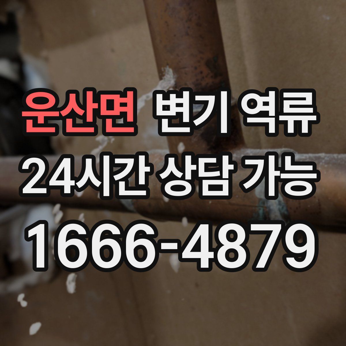 운산면 변기 역류