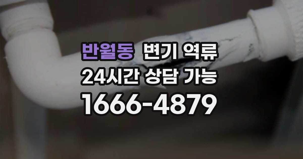 반월동 변기 역류