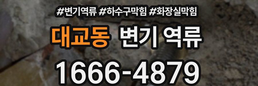 대교동 변기 역류