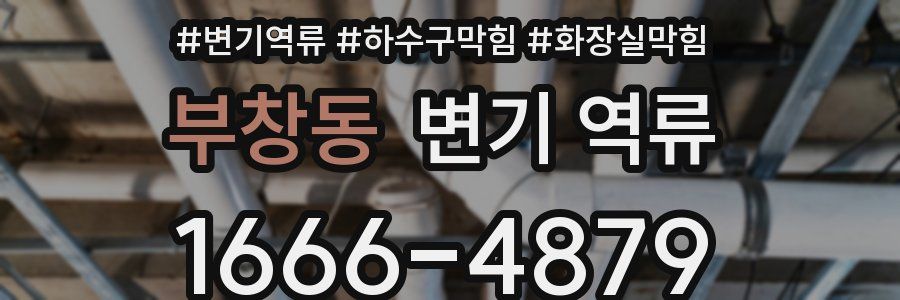 부창동 변기 역류