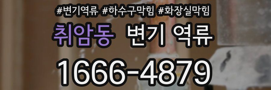 취암동 변기 역류