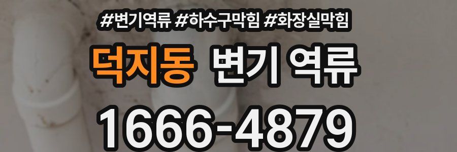 덕지동 변기 역류