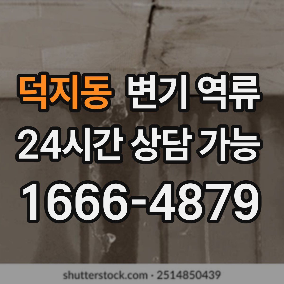 덕지동 변기 역류