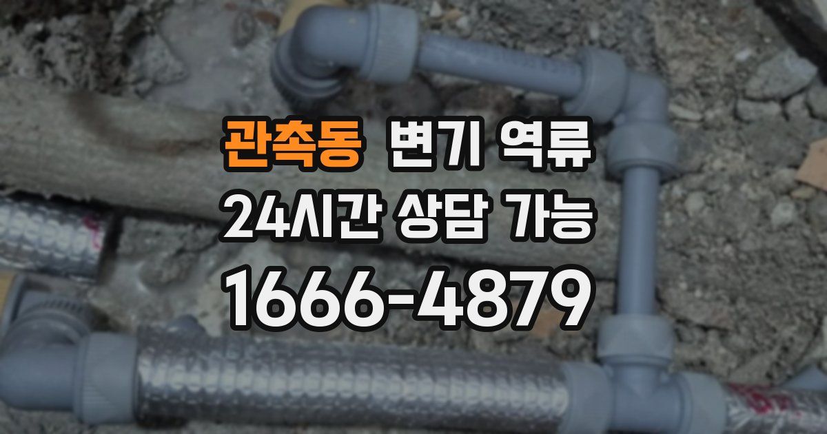 관촉동 변기 역류