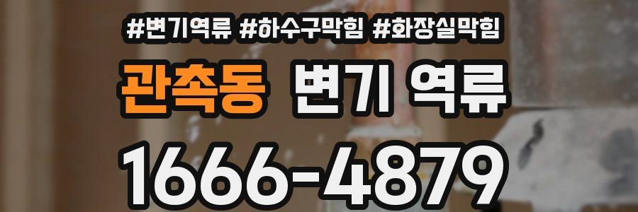 관촉동 변기 역류