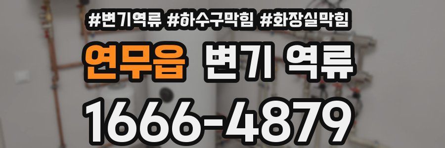 연무읍 변기 역류