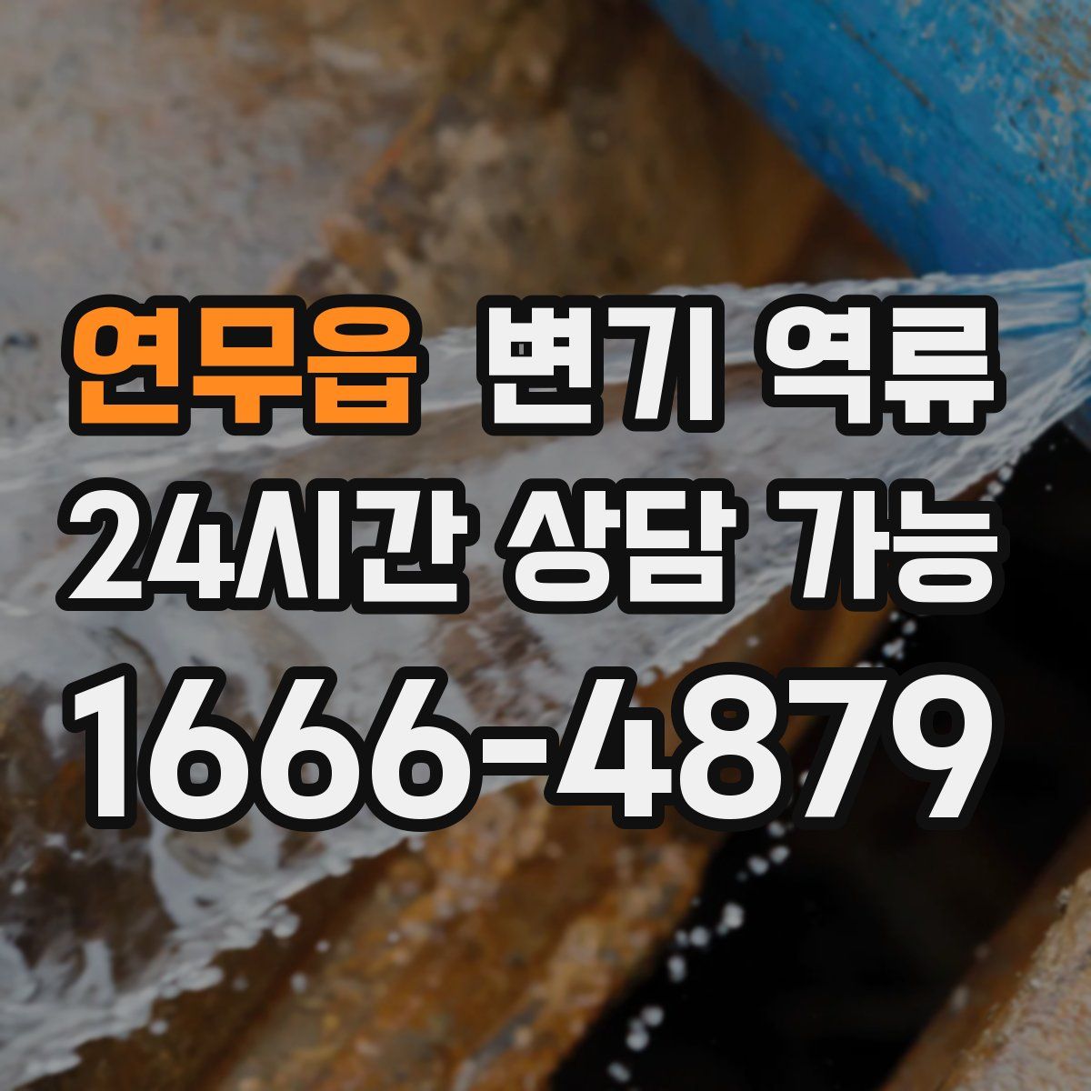 연무읍 변기 역류