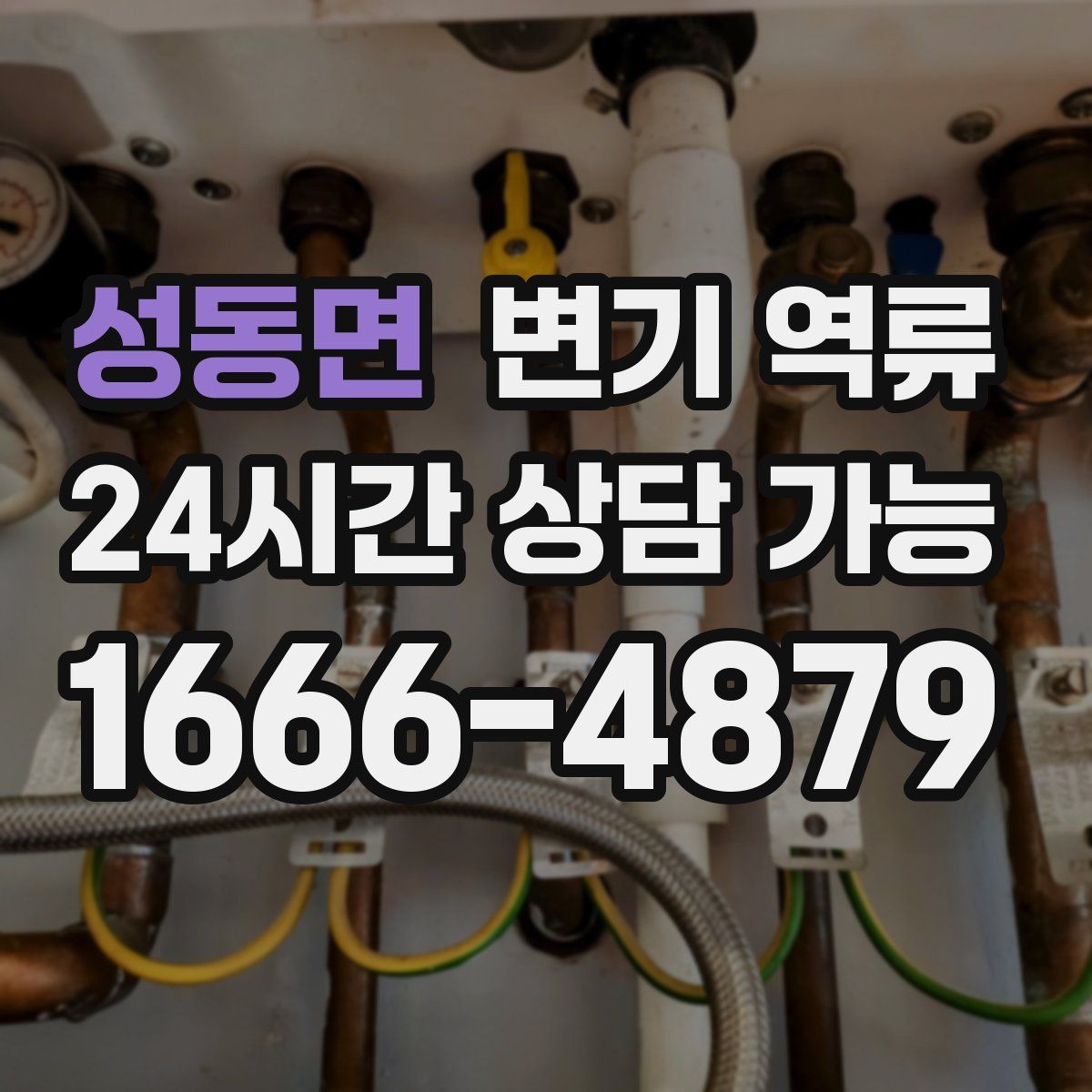 성동면 변기 역류