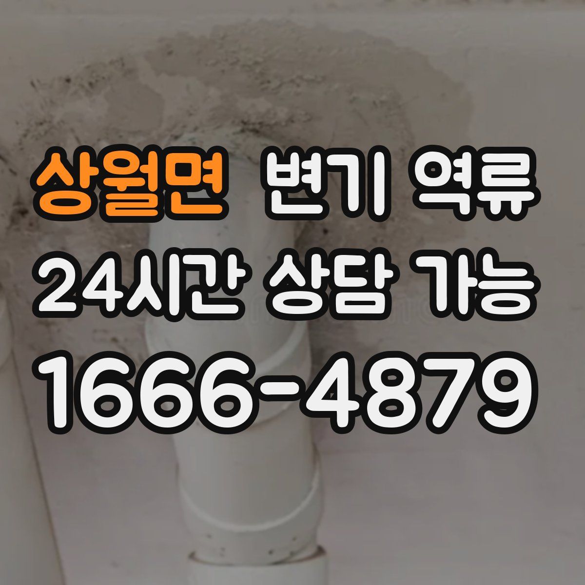 상월면 변기 역류