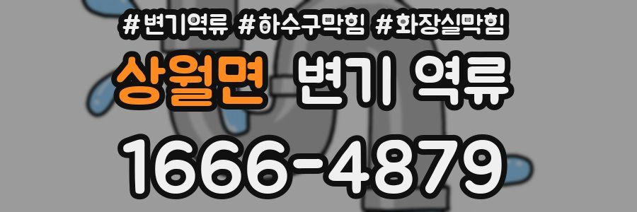 상월면 변기 역류